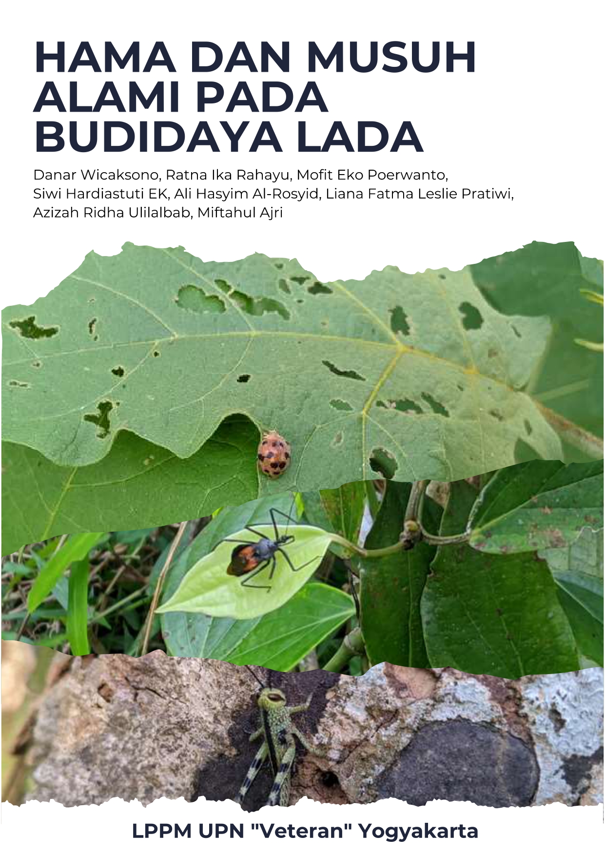 Cover Buku Hama dan musuh alami pada budidaya lada